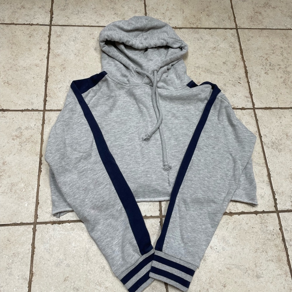 Pacsun cropped hoodie